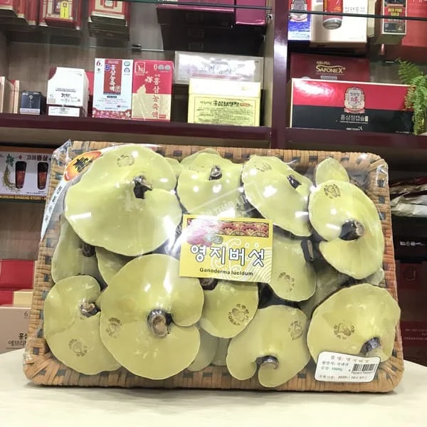 Nấm linh chi Trung quốc thống lĩnh thị trường Việt dưới mác nấm Hàn 1 nấm linh chi trung quốc tai lớn, ngoại hình bắt mắt, có tem in chữ hàn quốc