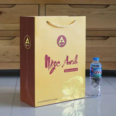Hộp quà tặng Nấm Lim Xanh Rừng Xay Bột – Món quà sức khỏe giá trị cao túi quà tặng nấm lim xanh rừng loại 1 xay bột, phù hợp làm quà biếu quý