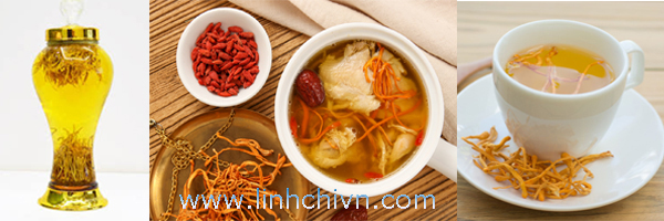 Đông Trùng Hạ Thảo Cao Cấp 25g 3 cach dung dong trung ha thao 1