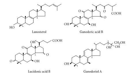 Đề Tài Nghiên Cứu Công Dụng Nấm Linh Chi Tại Trường Đại Học Công Nghệ TP.HCM 3 lanosterol