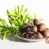 Tỏi đen một nhánh Lý Sơn 500g 1 Tỏi đen Ngọc Anh