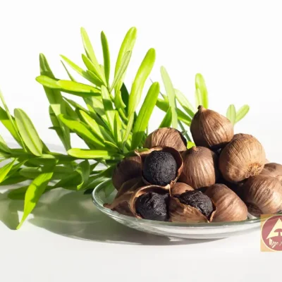 Tỏi đen Ngọc Anh