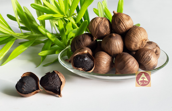 Tỏi đen một nhánh Phan Rang 500g 2 Tỏi đen Lý Sơn