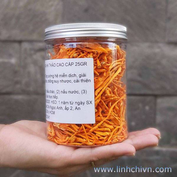 Đông Trùng Hạ Thảo Cao Cấp 25g 2 Đông trùng hạ thảo cao cấp
