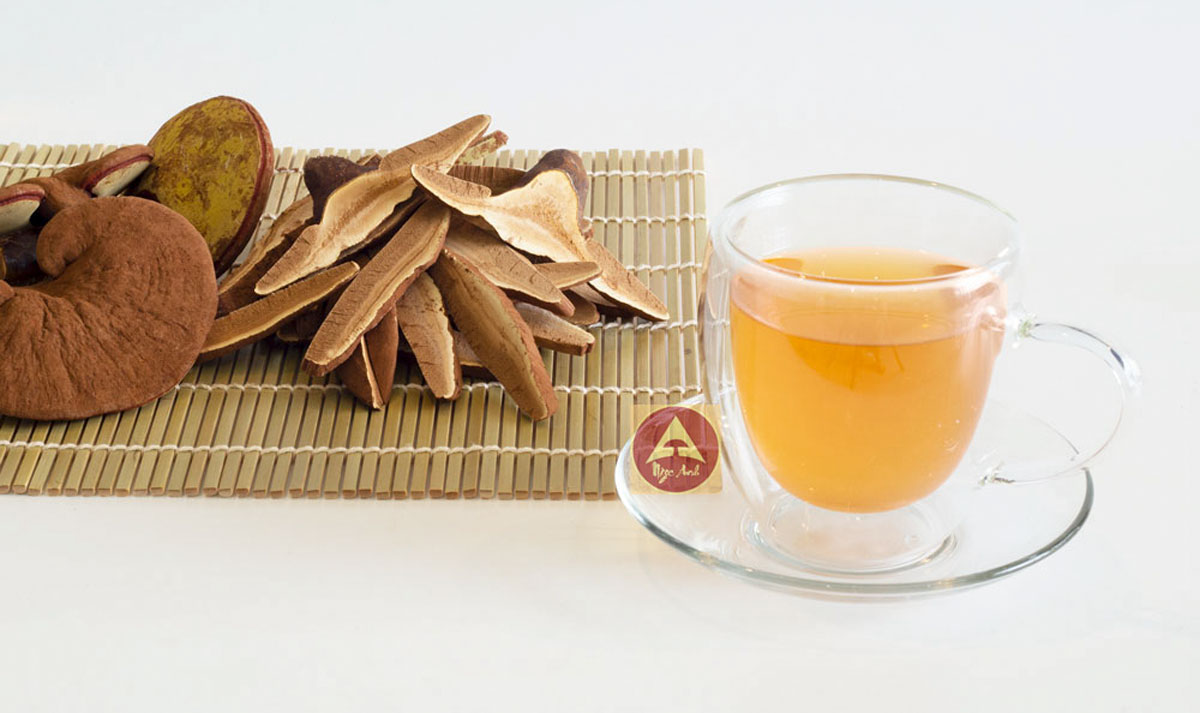 Đau nhức xương khớp: Nỗi ám ảnh của tuổi già và giải pháp từ thiên nhiên 5 nấm linh chi trị xương khớp