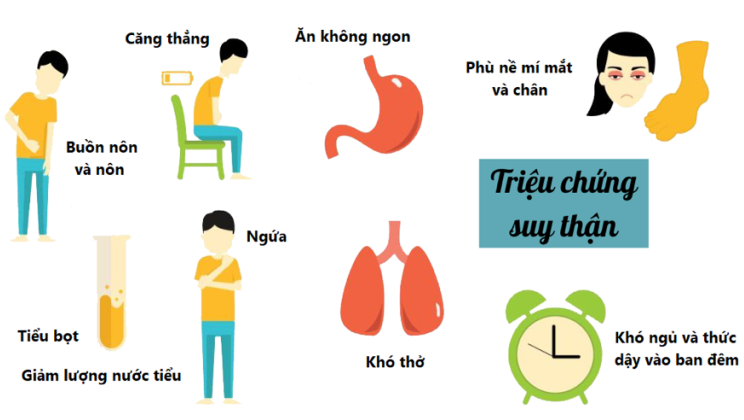 Suy Thận: Căn Bệnh Thầm Lặng Và Hành Trình Tìm Kiếm Giải Pháp Từ Thiên Nhiên 2 Triệu Chứng Suy Thận Nhẹ