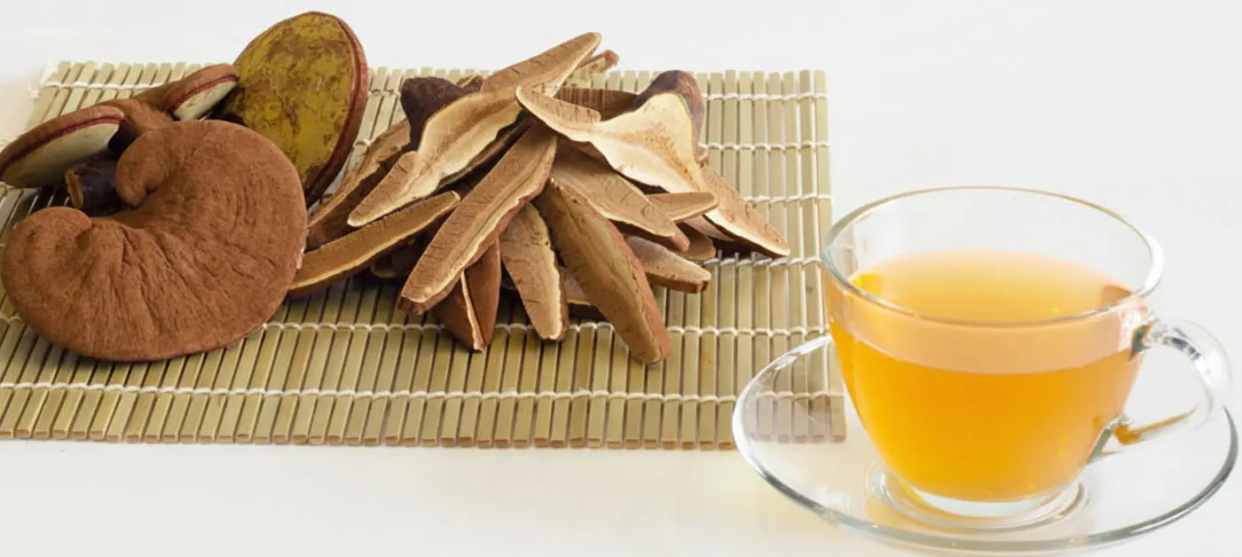 cách dùng nấm lim xanh rừng hiệu quả nhất qua ly trà đã sắc