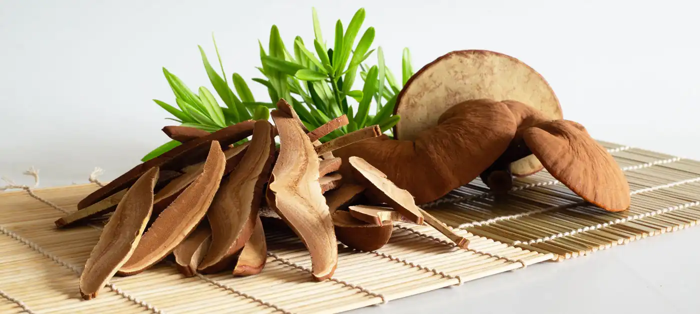 mua nấm linh chi đỏ việt nam thái lát cao cấp