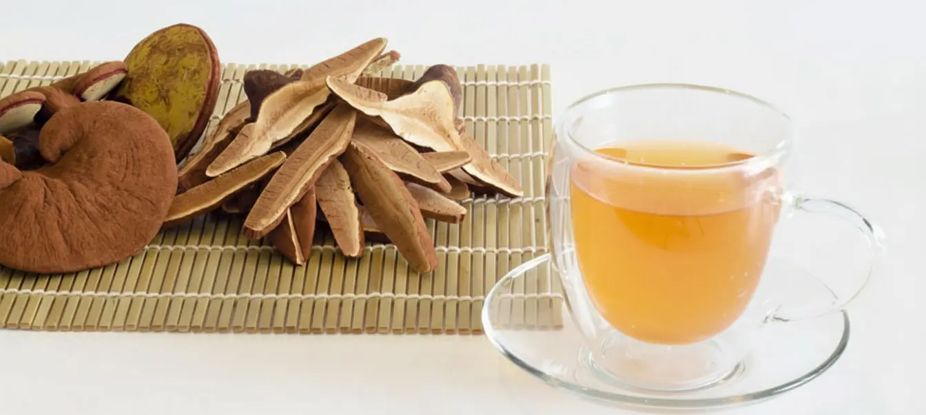 trà nấm linh chi đỏ việt nam đã sắc, minh họa cách dùng