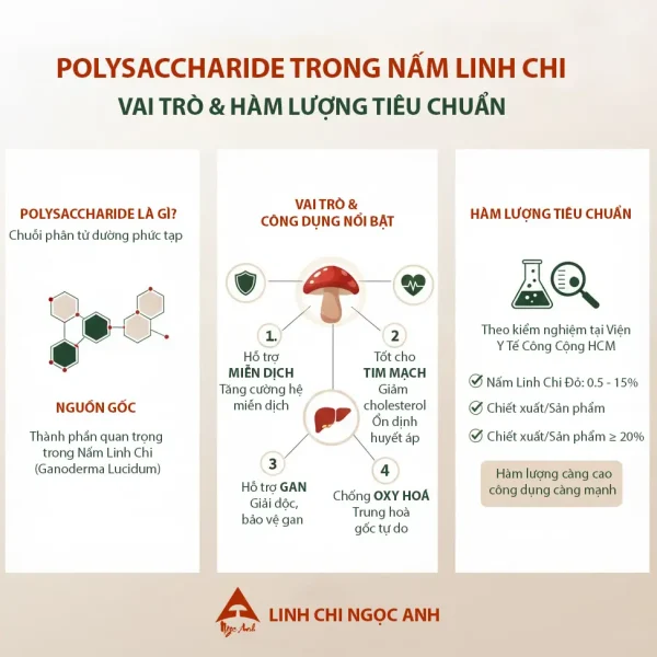 Infographic về Polysaccharide trong Nấm Linh Chi: vai trò, công dụng, hàm lượng tiêu chuẩn theo kiểm nghiệm