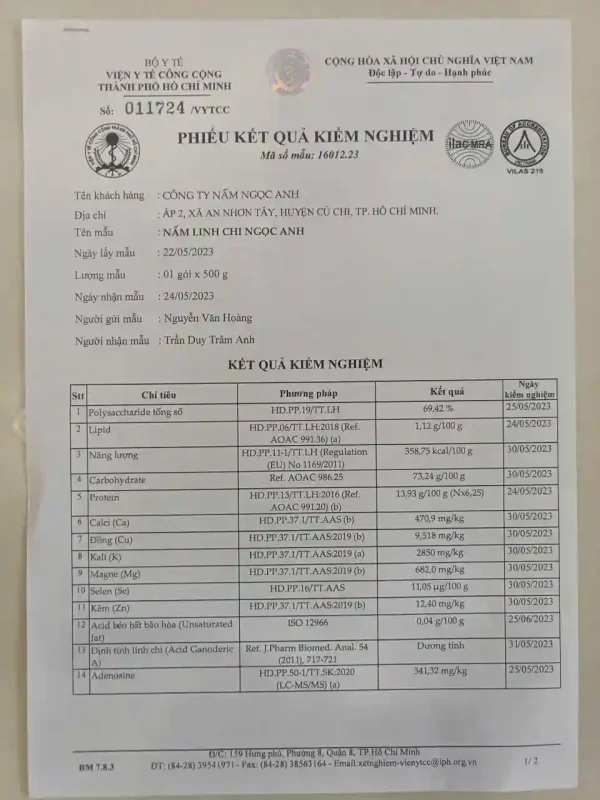Sự thật về Nấm Lim Xanh: Nguồn gốc, Phân loại và So sánh Dược tính (Cập nhật 2026) 9 Phiếu kiểm nghiệm Nấm Linh Chi Ngọc Anh: Polysaccharide 69,42% (Mã 011724/VYTCC)