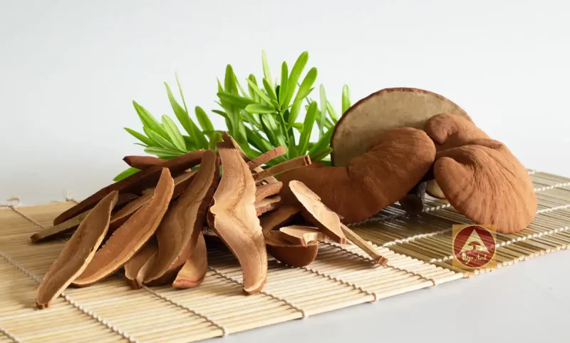 Công dụng của nấm linh chi đỏ Việt nam 2 nấm linh chi đỏ nguyên tai và thái lát xếp trên tấm tre