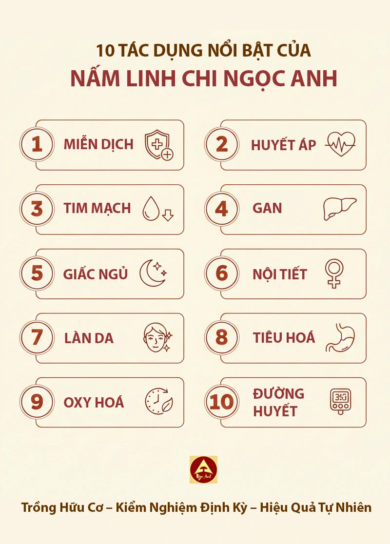 Tác Dụng & Hiệu Quả Thật Của Nấm Linh Chi Ngọc Anh – Kiểm Nghiệm Rõ Ràng 7 Infographic 10 tác dụng của nấm linh chi, minh họa các công dụng như miễn dịch, gan, huyết áp, tim mạch, giấc ngủ, nội tiết, làn da, tiêu hóa, oxy hóa và đường huyết.