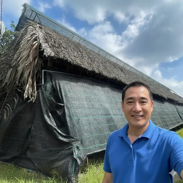 Sự Thật Về Nấm Lim Xanh: Hành Trình Trồng Nấm Thật Ở Việt Nam 1 Nhà trại trồng nấm lim xanh tại Củ Chi, lợp mái lá dừa và che lưới lan để kiểm soát ánh sáng